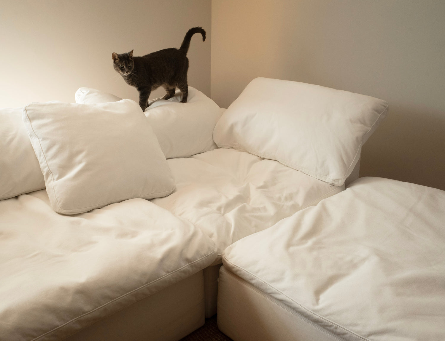Komfi Pet Friendly Cloud Couch